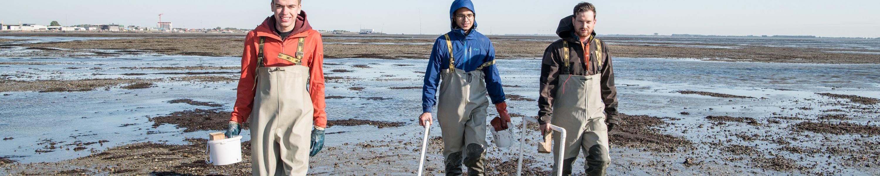 Samenwerking Deltavraagstukken Vlaanderen en Nederland