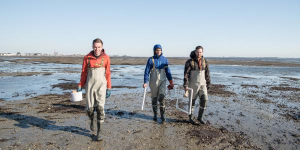 Samenwerking Deltavraagstukken Vlaanderen en Nederland