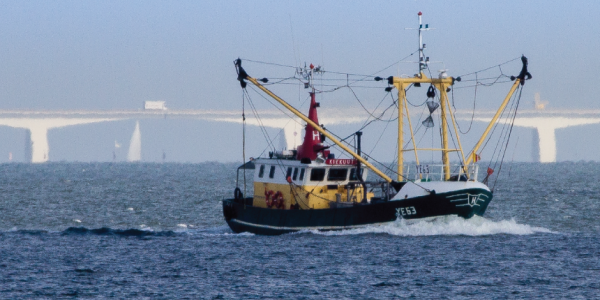 Voor een leefbare Oosterschelde en haar gemeenschappen