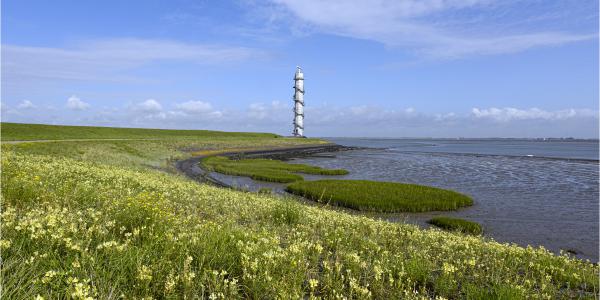 Casestudie in de Westerschelde